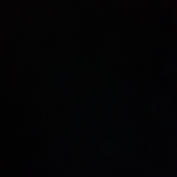 Meet your Posher, Coco - Picture 1 of 1